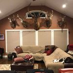 Peter Lynch - @peter.lynch - Instagram