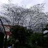 pete manuel - @pete.manuel5 - TikTok