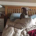 Pete Marsh - @peterwmarsh - Instagram