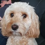 Pete Matthews - @peter.matthews.5201 - Instagram