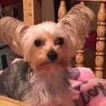 Pete Mayer - @pete.mayer.94 - Instagram