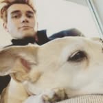 PeteMc - @peter_mcbroom - Instagram