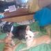 Pete McDaniel - Facebook