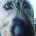 Peter McDonnell - Facebook