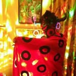 Pete Mcgee - @petemcgee - Instagram