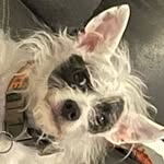 Pete Mcgee - @mrpetemcgee - Instagram