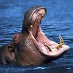 Peter McMurray - @peter.mcmurray18 - Instagram