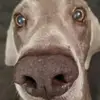 melepete - @melepete - TikTok