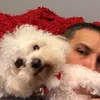Peter - @petemele1 - TikTok