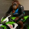 Livethedream - @petemelloyello - TikTok