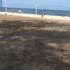 Peter Mello - @petermello - TikTok