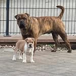Peter miska - @peter.miska - Instagram