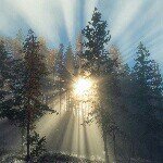 Pete Morales - @h4kun4_m4t4t4 - Instagram