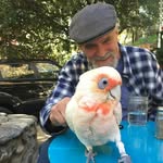 Pete Morris - @petemorrismetrodavinci - Instagram