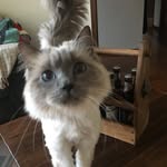 Pete Myers - @pete_c_myers - Instagram