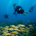 Pete Myers - @pcm3232 - Instagram