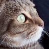 Peter Myers - @peter.myers6 - TikTok