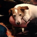 Pete Palmer - @inkyatattoostudio - Instagram