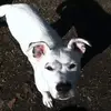 Pete Palmer - @pete_palmer260 - TikTok