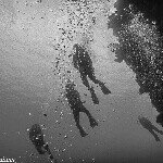 Pete Palmer Scuba Photography - @petepalmerunderwater - Instagram