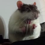 Pete - @petepettygr - Instagram