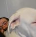 Pete Phillips - Facebook