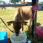Peter Phillips - @peter.phillips.9638 - Instagram