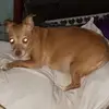 Pete Piper - @pete.piper - TikTok