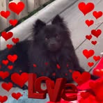 Pete Poole - Facebook