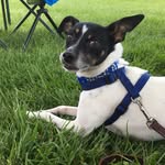 Pete Poole - @pete_jackson_poole - Instagram