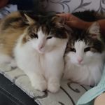 Peter Post - @peter.post.52 - Instagram