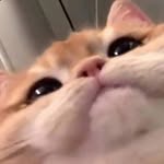 ptposting.post - @pete_posting - Instagram