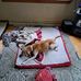 Pete Rand - Facebook