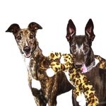 Peter & Annie - @peter_and_annie_ - Instagram