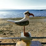Pete Read - @read5905 - Instagram
