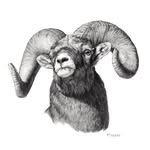 Peter Eades Art - @petereadesart - Instagram