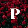 Pete Reilly479 - @petereilly2 - TikTok