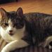 Peter Renaud - Facebook