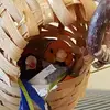Pete Richards - @pete.richards7 - TikTok