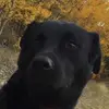 peterichards481 - @peterichards481 - TikTok
