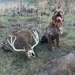 Riggins Peterson - Facebook