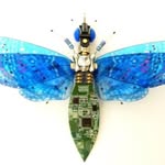 Peter Riggs - @_petermoth_ - Instagram