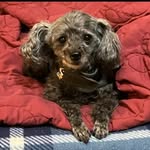 Peter riggs - @peterreid37 - Instagram