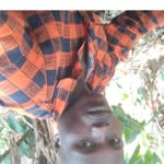 peterisingo - @peterisingo1 - Instagram