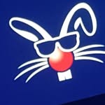Peter Odenius - @peterodenius - Instagram