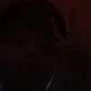 BradleyBrad321 - @peterush - TikTok