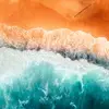 Peter Yan - @peter_yann - TikTok