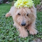 Peter Schroeder - @peter.schroeder.5245 - Instagram