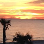Pete Sherman - @cws1218 - Instagram