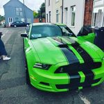 Peter Shields - @pete_shields - Instagram